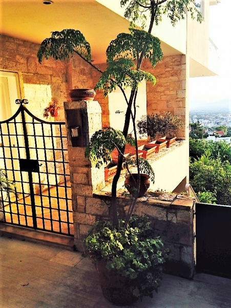 SubstandardFullSizeRender (11).jpg